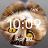 Kotofey - Watch Face 's icon