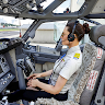 Airplane Flight Game Simulator 's icon