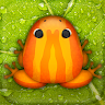 Pocket Frogs: Tiny Pond Keeper 's icon