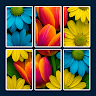 Fun Jigsolitaire : Jigsaw Game 's icon