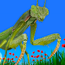 Bugs & Insects VR/AR Kid Game 's icon
