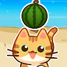 Rolling Cat Merge - Watermelon 's icon
