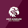 Manly-Warringah Sea Eagles 's icon