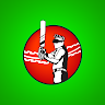CricVRX TV - 3D Cricket Game 's icon