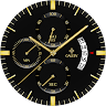 Golden Precision Watch Face 's icon