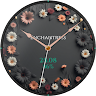 Enchantress Watchface 's icon