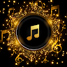 Pi Music Player: Offline Music 's icon