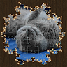 Animated Jigsaw puzzles game 's icon