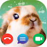 Fake Call: Bunny 's icon