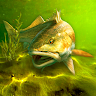 My Fishing World 's icon