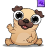 Pug - My Virtual Pet Dog 's icon