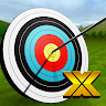 Archery World Champion X 's icon