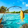 Catch Fish Games Offline 's icon