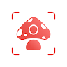 Picture Mushroom - 蘑菇鑑定和採摘指南 's icon