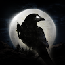 NIGHT CROWS 's icon