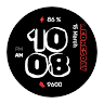 WES12 - Vinyl Watch Face 's icon