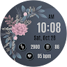 NXV43 Elegant Watch Face 's icon