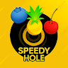 Fruit Hole Puzzle Game 3D 's icon