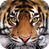 Ultimate Tiger Simulator 2 's icon