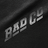 Bad Company: Can't Get Enough 's icon