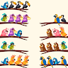 Bird Sort Puzzle: Sorting Game 's icon
