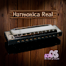 Harmonica Real 's icon