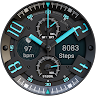 WB Military Analog Watch Face 's icon
