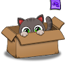 Oliver the Virtual Cat 's icon